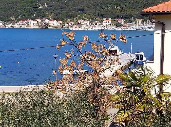 In Supertarska Draga - Insel Rab 42679 Апартаменты Супетарска-Драга